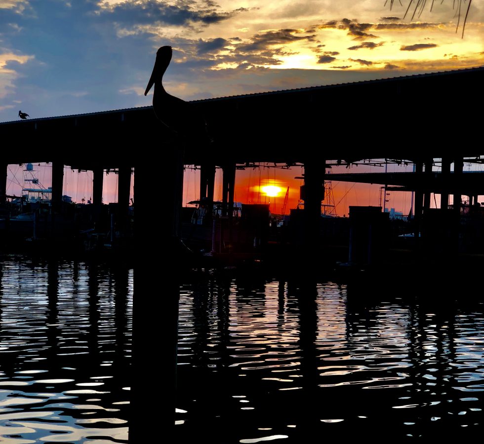 Beautiful Galveston Docks at Dawn