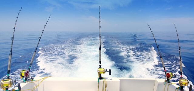 charter fishing galveston tx