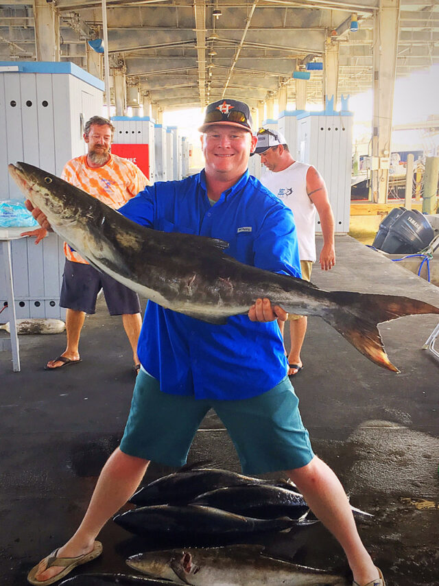 Cobia Ling Fishing Galveston