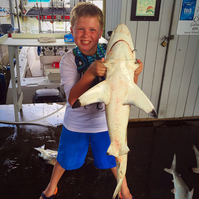 Kingfish & Shark Fishing Galveston