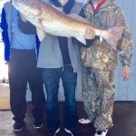 Galveston Fishing trips that catch big fish