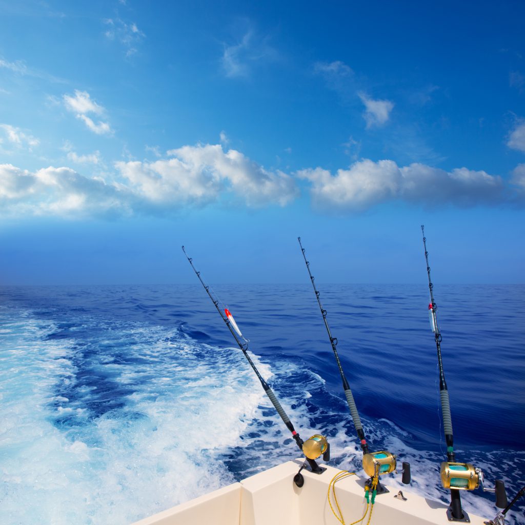 Captiva Island Fishing Charters