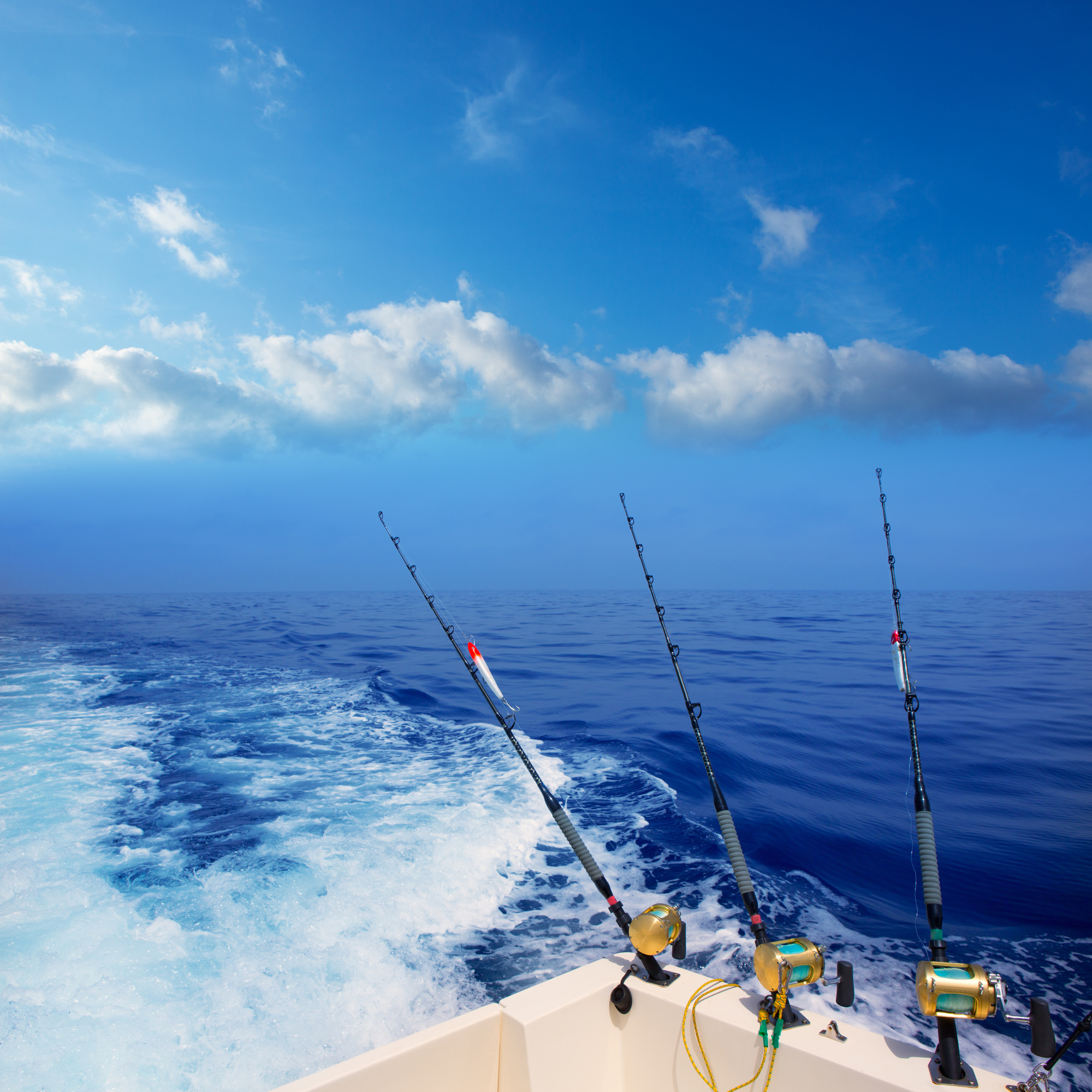 What to Expect For Your First Deep Sea Fishing Charter Experience