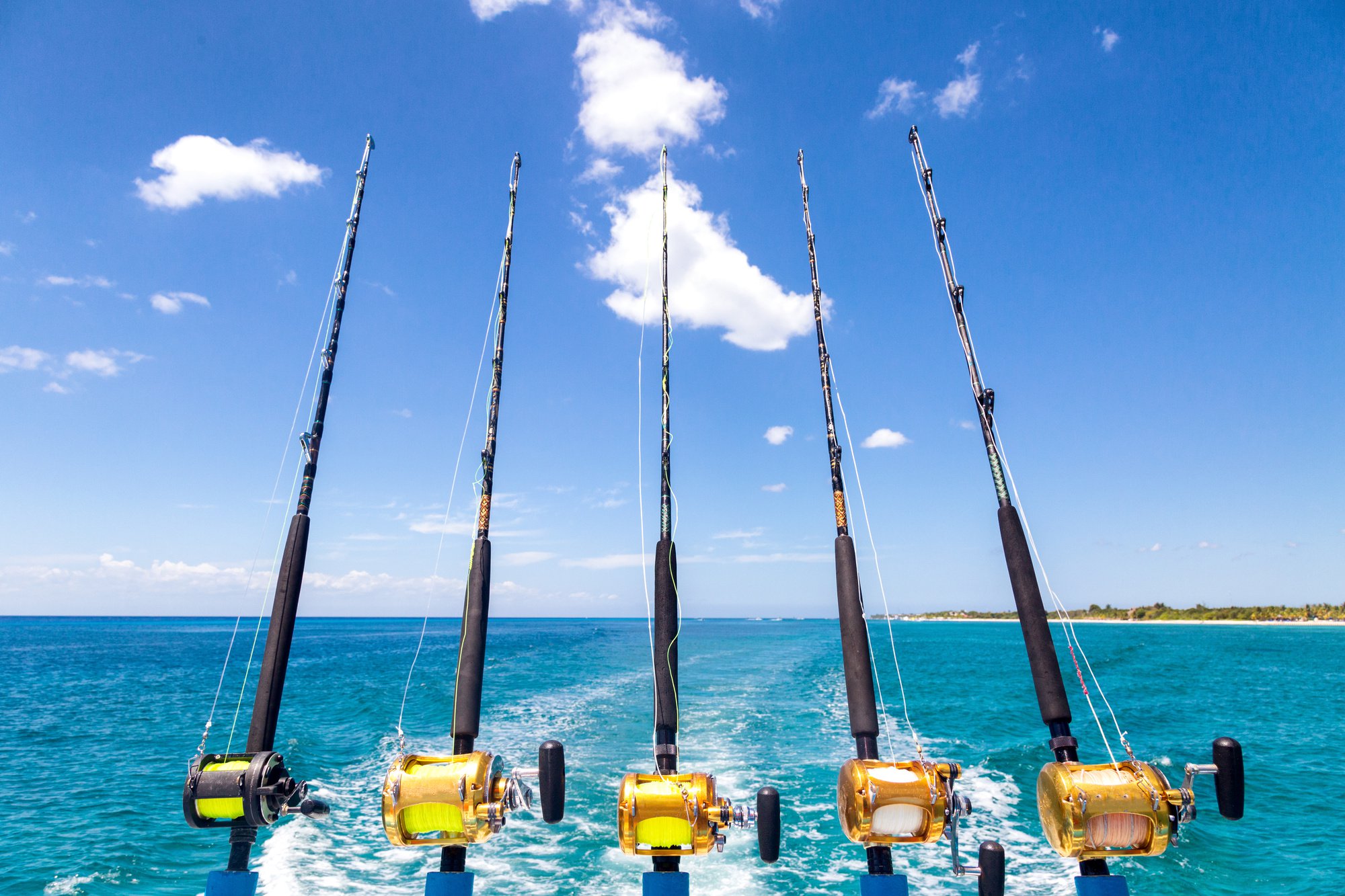 Deep sea fishing gear new arrivals