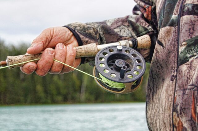 catch fish