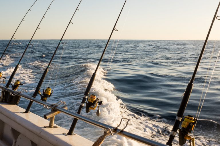 deep sea fishing trips for cheap