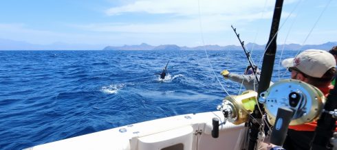 fishing charters in texas