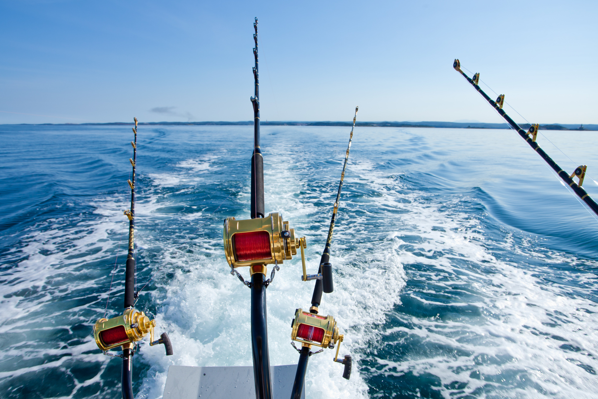 Looking to Hire a Boat? Here's a Guide to Fishing Charters