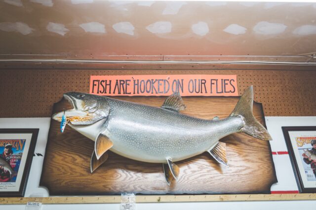 Photo by Stephen Andrews: https://www.pexels.com/photo/decorative-silver-fish-mounted-on-a-wall-9747132/